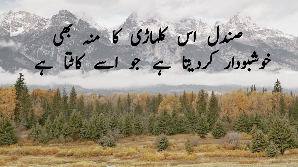 urdu quotes text